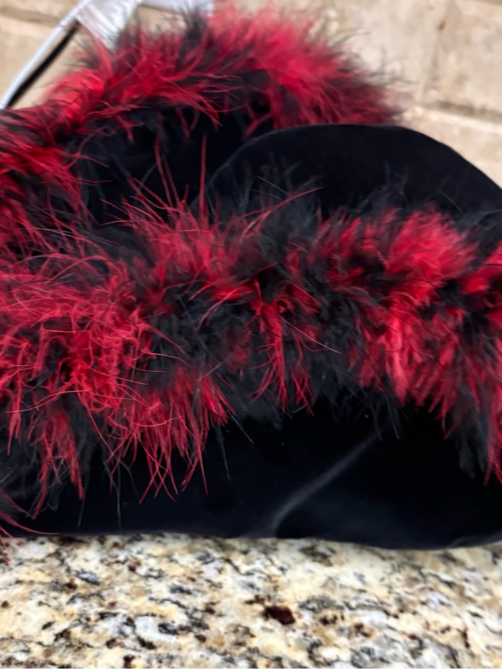 Black Velvet Hat with Red Feather Trim